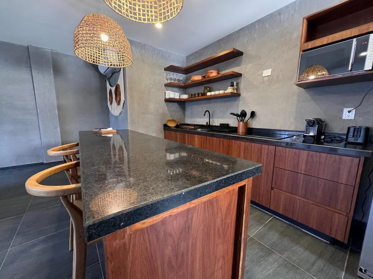 Luxury Apartment 2 Bed 2 Bath With Private Jacuzzi Tulum Mexico